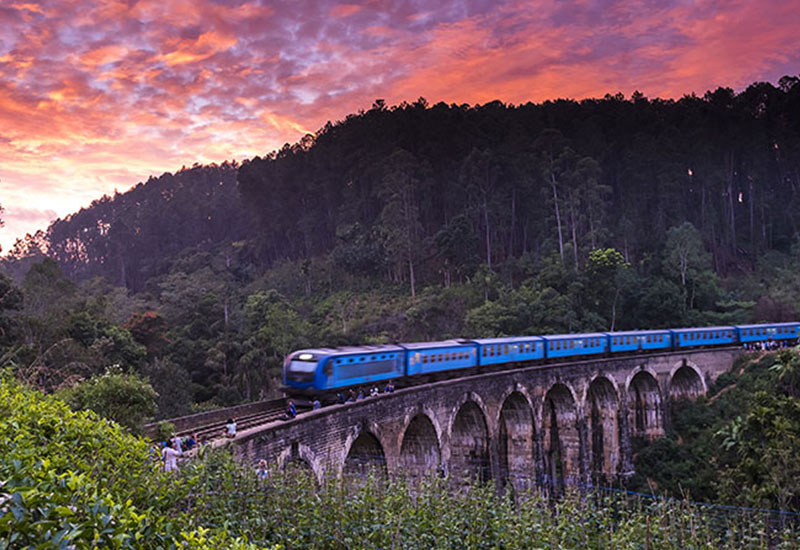 Demodara-Bridge-800x550-1 Demodara-Bridge-800x550-1